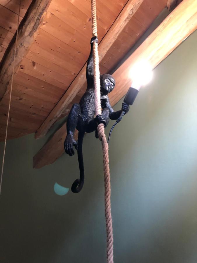 La Maison D'Obinat Auzas Exteriör bild